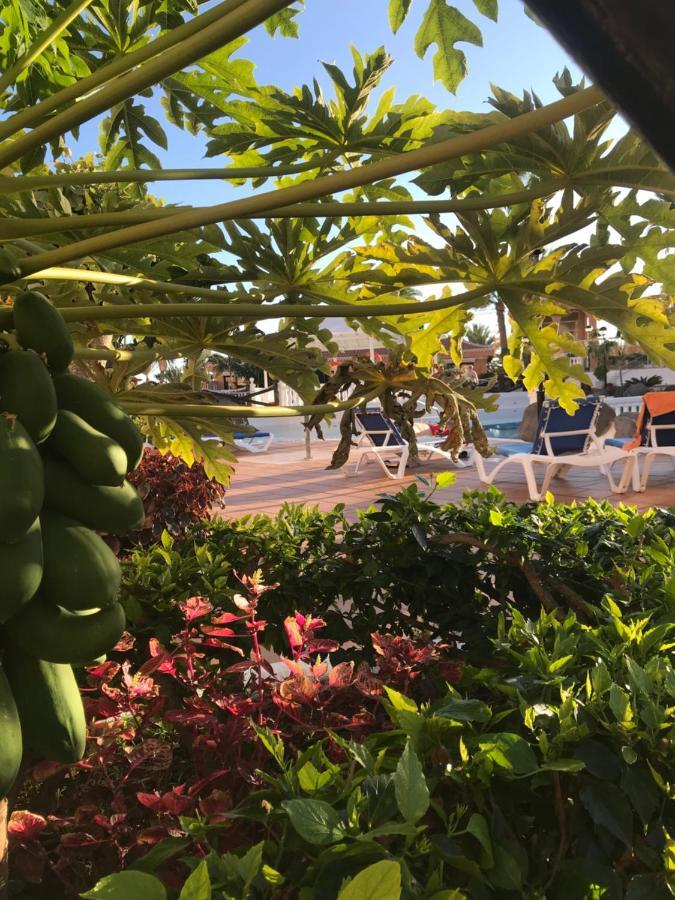 Apartamento Las Vistas Beach - Tenerife Royal Gardens Playa de las Americas  Zewnętrze zdjęcie